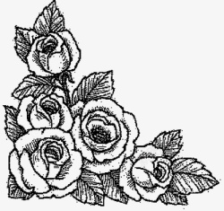五朵玫瑰花素描画素材