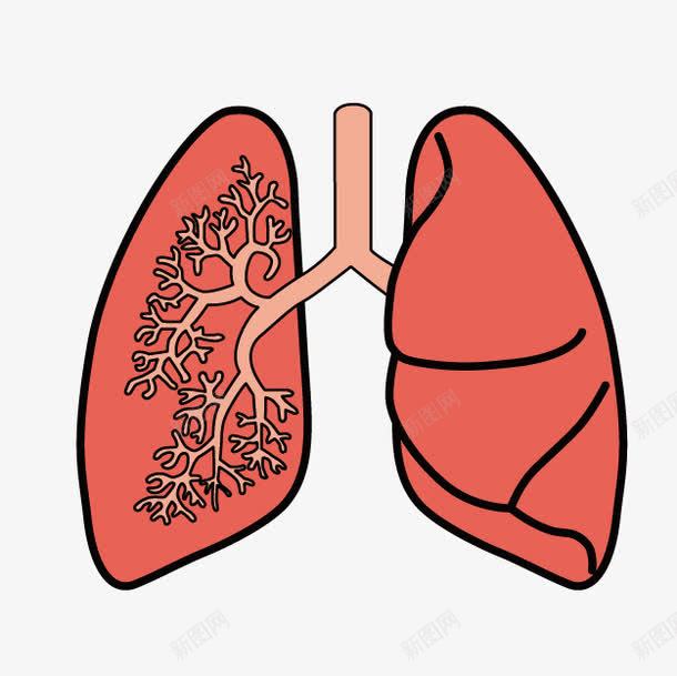卡通器官png免抠素材_88icon https://88icon.com 人体器官 卡通器官 器官 肺 肺部 肺部创意 肺部图案