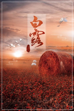 中国传统二十四节气白露背景