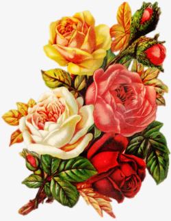 复古玫瑰花束素材