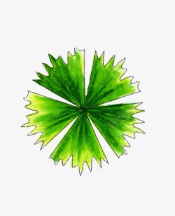 景观彩平图素材