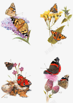 卡通手绘蝴蝶花朵素材
