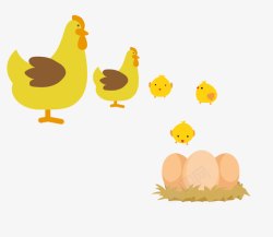 可爱黄色母鸡和小鸡素材