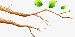 光秃秃的树枝和绿叶素材