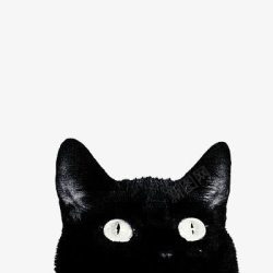黑猫素材