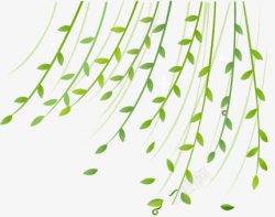 漂浮植物飞舞卡通绿色树叶藤素材