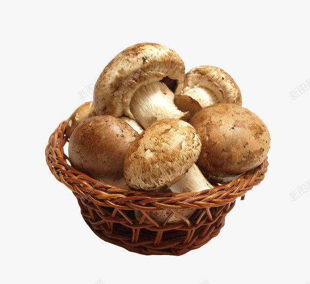 篮筐香菇png免抠素材_88icon https://88icon.com 篮子 蔬菜 蘑菇 褐色 食材 食物