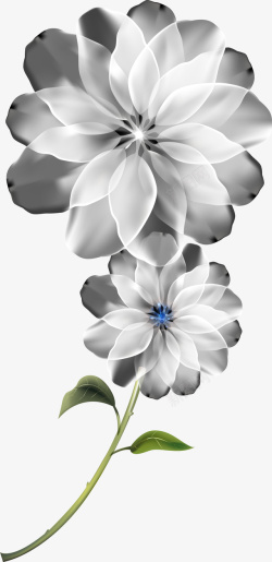 梦幻唯美白色花朵素材
