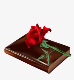 棕色书皮的书本上的玫瑰花素材