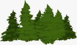一片绿色的松树林素材