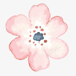 手绘水彩花卉花朵素材
