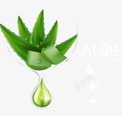 芦荟精华素材