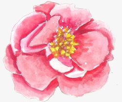手绘水彩花朵植物粉色素材