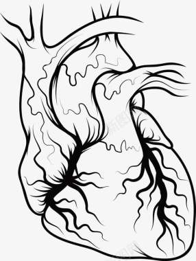 肺部器官手绘图图标图标