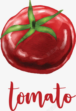 水彩手绘红色番茄矢量图素材