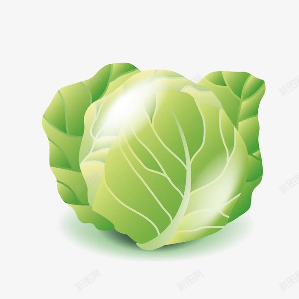 一颗新鲜的手撕包菜png免抠素材_88icon https://88icon.com 卡通 叶子 手撕包菜 简图 绿色的 蔬菜 食物
