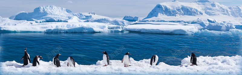 蓝色冰山企鹅背景摄影图片