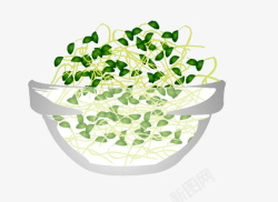 一碗发芽的绿豆绿豆芽素材