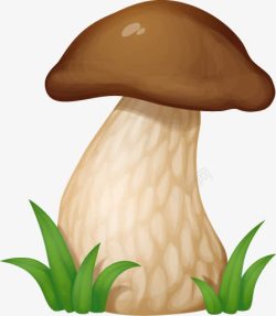 卡通清新精美蘑菇素材