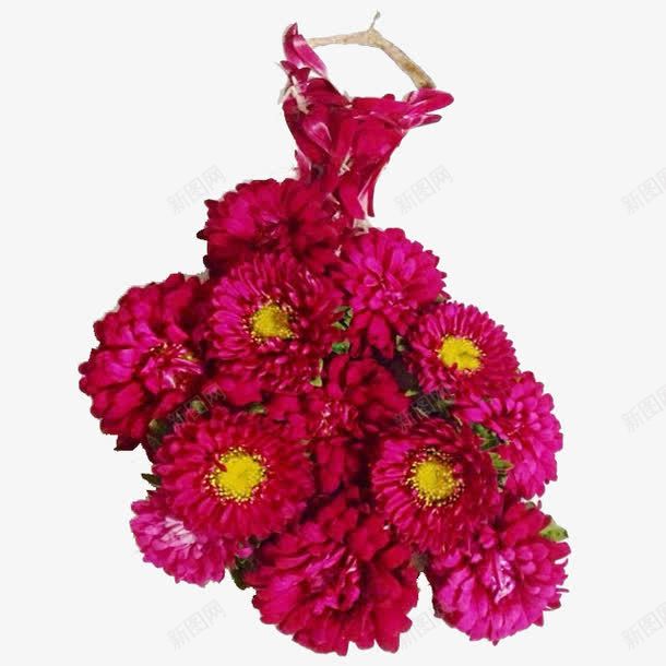 鲜花裙子png免抠素材_88icon https://88icon.com 枚红色 花朵 花朵艺术 花裙子 连衣裙