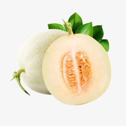 瓜果刨白香瓜透明图高清图片