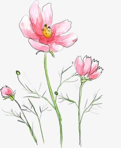 手绘粉色水墨花朵植物素材