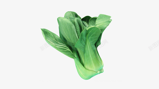 绿色蔬菜油菜上海青png免抠素材_88icon https://88icon.com 上海青 油菜 绿色 蔬菜