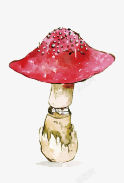 红蘑菇矢量图素材