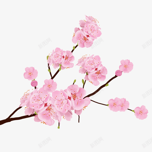 唯美粉色樱花树枝png免抠素材_88icon https://88icon.com 一枝樱花 树枝 樱花 花儿 花朵