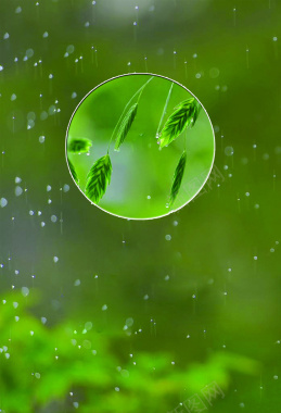 谷雨季节宜人背景