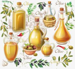 橄榄油和橄榄果矢量图素材