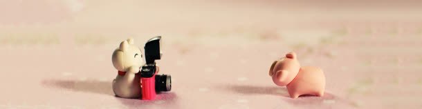 拍照的猪jpg设计背景_88icon https://88icon.com 拍照