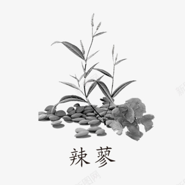 中国风草药中药药材图标图标