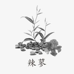 草药LOGO中药药材图标高清图片