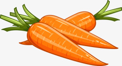 胡萝卜俯视蔬菜矢量图素材