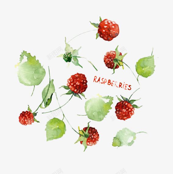卡通树莓野果png免抠素材_88icon https://88icon.com 树莓 水果 野外 野果