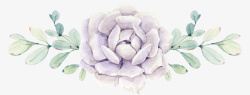 紫玫瑰花手绘紫玫瑰高清图片