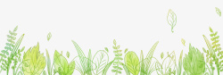 小清新水彩植物边框装饰插图素材