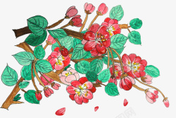 手绘装饰海棠花元素素材