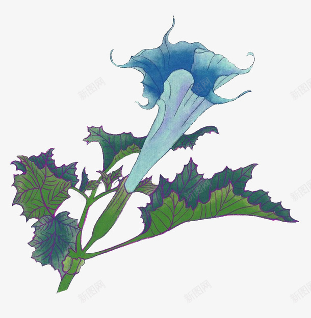 荆棘花png免抠素材_88icon https://88icon.com 彩色 植物 水彩画