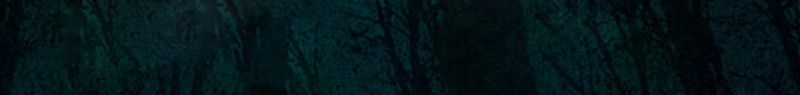 万圣节恐怖森林之旅psd设计背景_88icon https://88icon.com 万圣节 夜晚 幽森 恐怖 惊悚 文字标语 树木 森林 派对 英文字体 设计