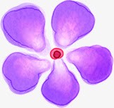 创意手绘合成紫色的花瓣水彩素材