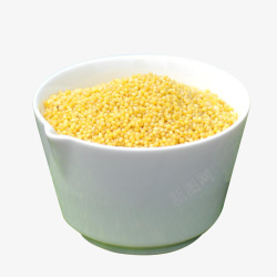 白瓷杯里的大黄米素材