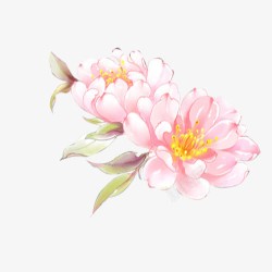 植物卡通花朵油画效果素材