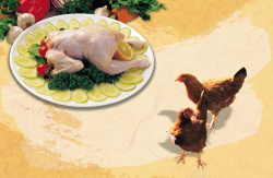 特产肉食土鸡特产食品海报背景高清图片