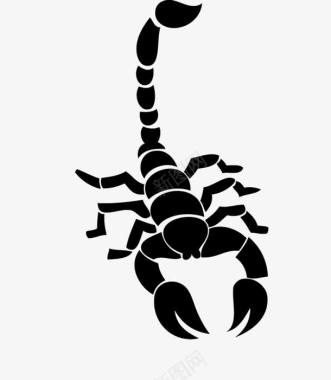 黑色蝎子纹身图标图标