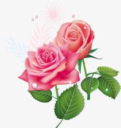 粉色玫瑰花图案素材