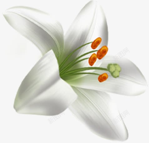 白色唯美简约花朵png免抠素材_88icon https://88icon.com 白色 简约 花朵 设计