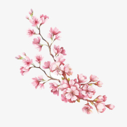 手绘水彩桃花枝装饰图案素材