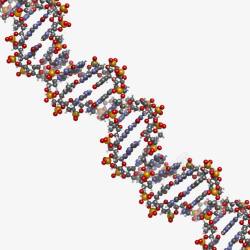 基因靶向治疗基因高清图片